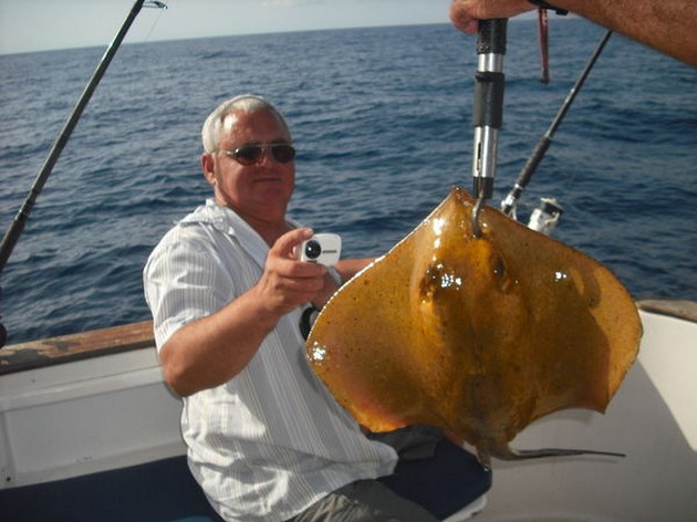 common stingray Cavalier & Blue Marlin Sport Fishing Gran Canaria