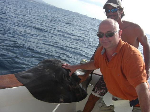 roughtail stingray Cavalier & Blue Marlin Sport Fishing Gran Canaria