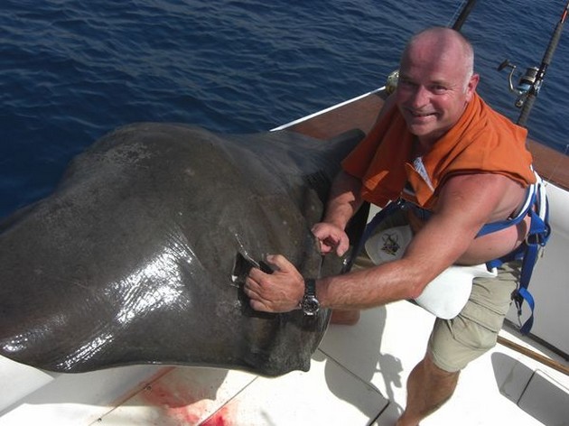 common stingray Cavalier & Blue Marlin Sport Fishing Gran Canaria