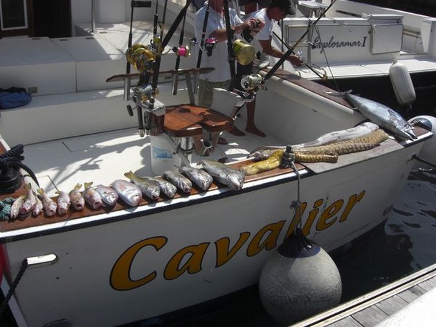 RIFVISSEN - WAHOO<br><br>Tjonje, tjonge, tjonge wat een super - Cavalier & Blue Marlin Sport Fishing Gran Canaria