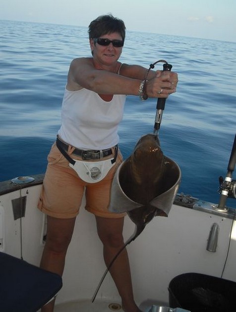 eagle ray Cavalier & Blue Marlin Sport Fishing Gran Canaria