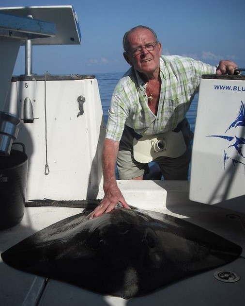 common stingray Cavalier & Blue Marlin Sport Fishing Gran Canaria