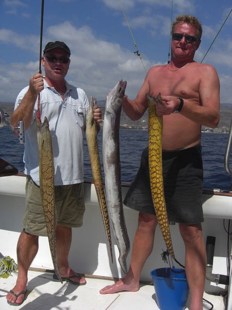 Satisfied Fishermen Cavalier & Blue Marlin Sport Fishing Gran Canaria