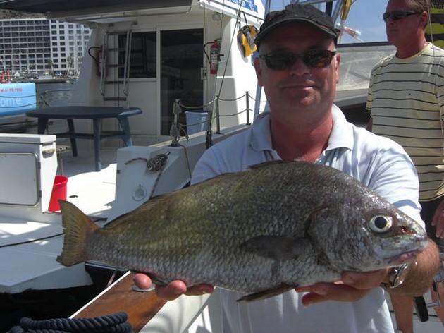 Canary Drum Cavalier & Blue Marlin Sport Fishing Gran Canaria