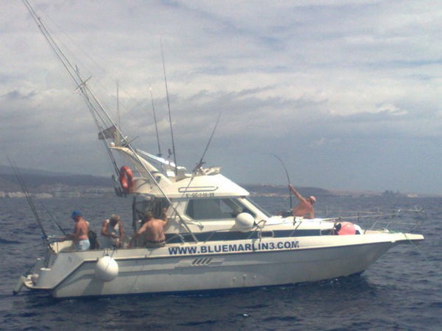 ENORMA STINGRAYS Idag, den tyngsta och största - Cavalier & Blue Marlin Sport Fishing Gran Canaria