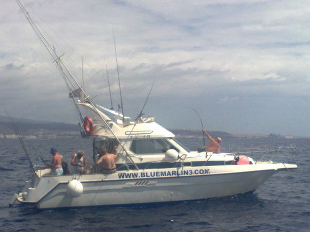 RAYAS ENORMES Hoy, las más grandes y pesadas - Cavalier & Blue Marlin Sport Fishing Gran Canaria