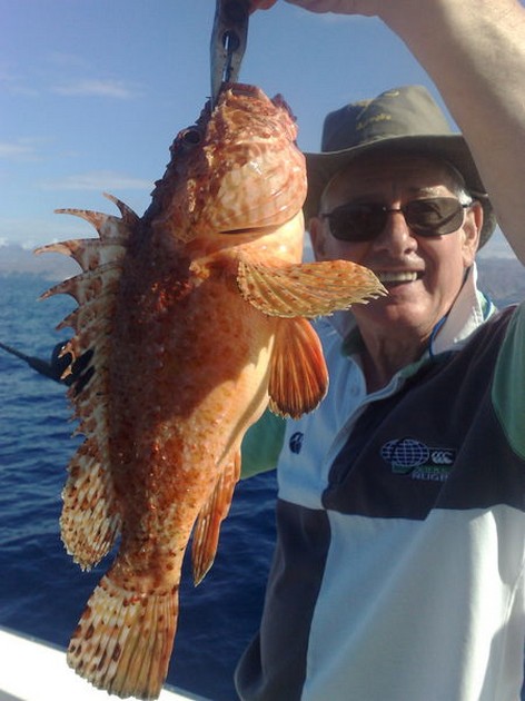 scorpionfish Cavalier & Blue Marlin Sport Fishing Gran Canaria