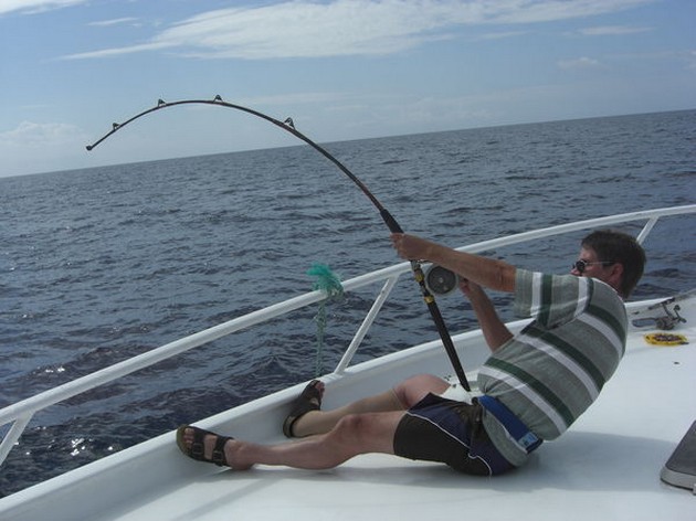 hooked up Cavalier & Blue Marlin Sport Fishing Gran Canaria