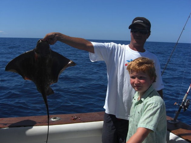 eagle ray Cavalier & Blue Marlin Sport Fishing Gran Canaria