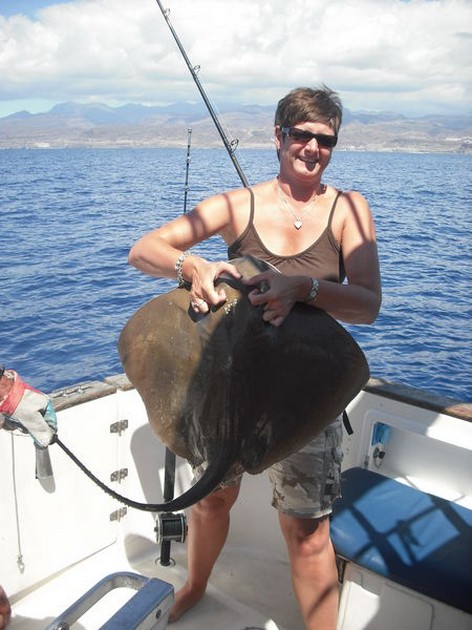 common stingray Cavalier & Blue Marlin Sport Fishing Gran Canaria