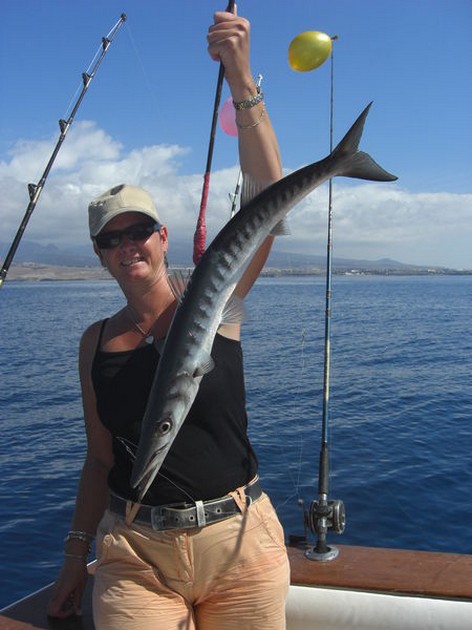 baracuda Cavalier & Blue Marlin Sport Fishing Gran Canaria