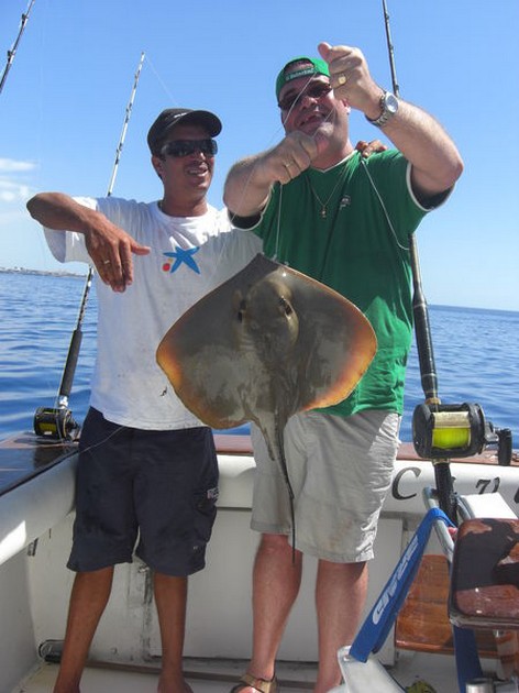 common stingray Cavalier & Blue Marlin Sport Fishing Gran Canaria
