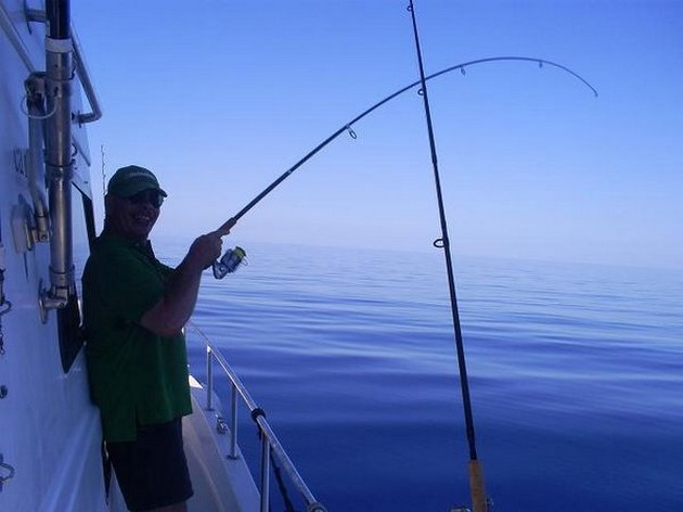 hooked up Cavalier & Blue Marlin Sport Fishing Gran Canaria