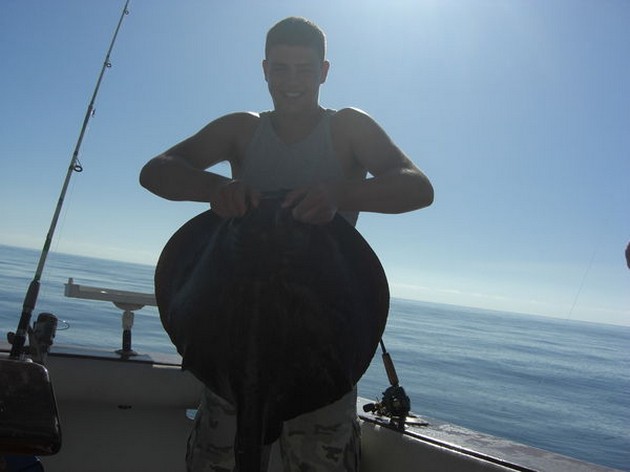 roughtail stingray Cavalier & Blue Marlin Sport Fishing Gran Canaria