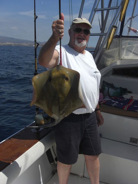 common stingray Cavalier & Blue Marlin Sport Fishing Gran Canaria