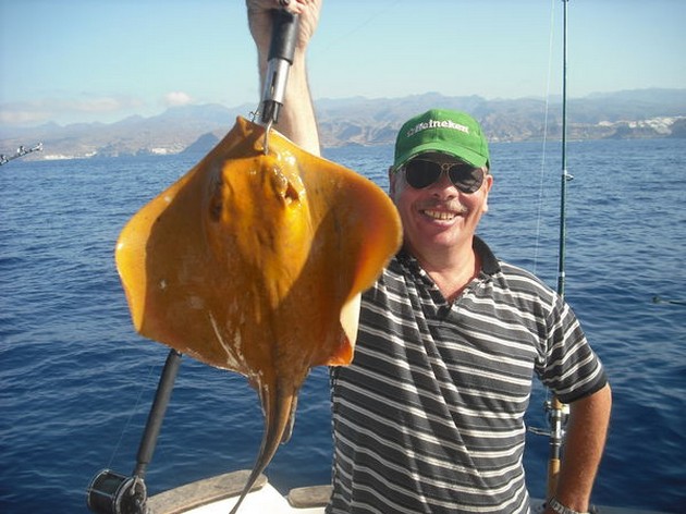 common stingray Cavalier & Blue Marlin Sport Fishing Gran Canaria