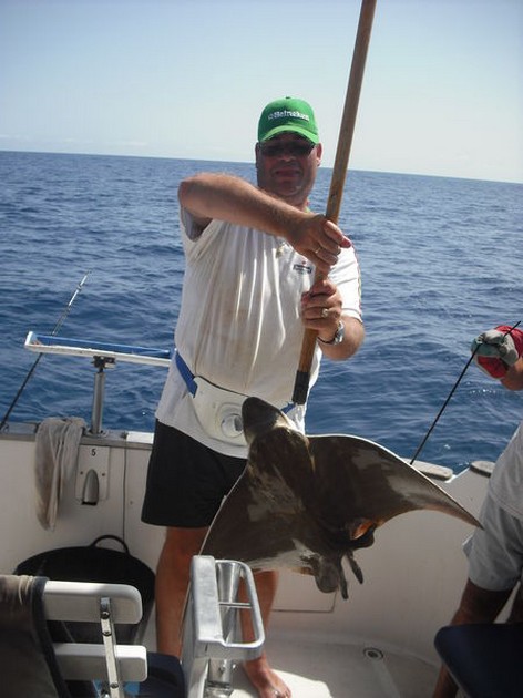 duckbill ray Cavalier & Blue Marlin Sport Fishing Gran Canaria