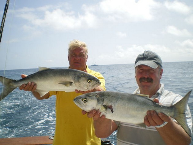 NIEUW BOOTRECORD<br><br>Het was in november 1999 toen de - Cavalier & Blue Marlin Sport Fishing Gran Canaria