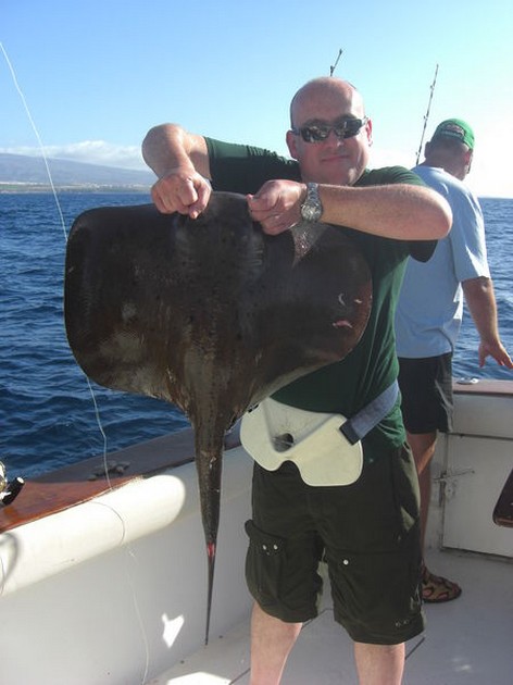 roughtail stingray Cavalier & Blue Marlin Sport Fishing Gran Canaria