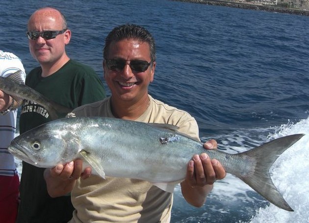 king fish Cavalier & Blue Marlin Sport Fishing Gran Canaria