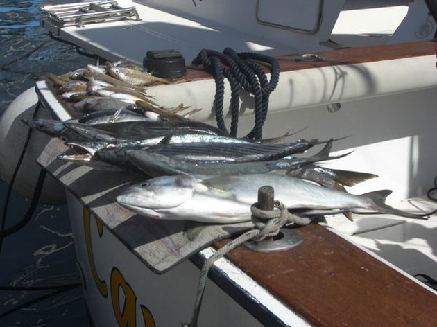 EN ANDRA STOR DAG På båten Cavalier, fiskarna - Cavalier & Blue Marlin Sport Fishing Gran Canaria