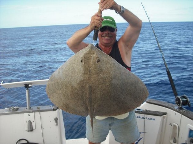 butterfly ray Cavalier & Blue Marlin Sport Fishing Gran Canaria