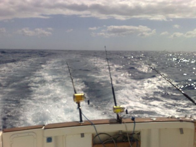 VLINDERROGGEN<br><br>Waren het gisteren voornamelijk de kleinere - Cavalier & Blue Marlin Sport Fishing Gran Canaria
