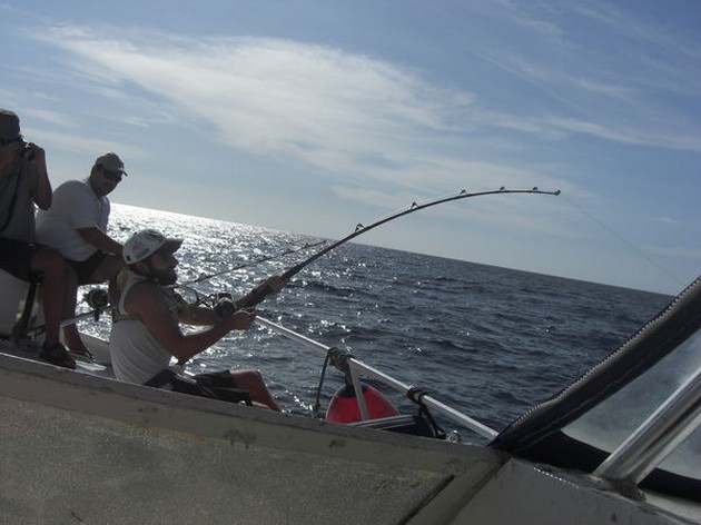 hooked up Cavalier & Blue Marlin Sport Fishing Gran Canaria