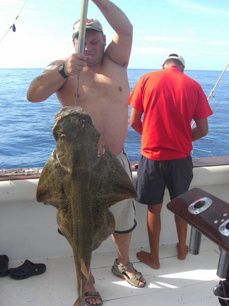 angelshark Cavalier & Blue Marlin Sport Fishing Gran Canaria
