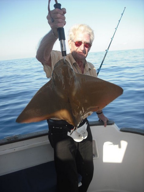 eagle ray Cavalier & Blue Marlin Sport Fishing Gran Canaria