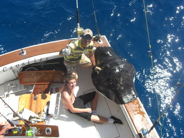 15/10 common stingray Cavalier & Blue Marlin Sport Fishing Gran Canaria