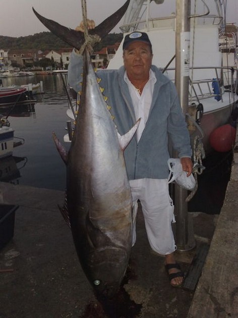 bluefin tuna Cavalier & Blue Marlin Sport Fishing Gran Canaria