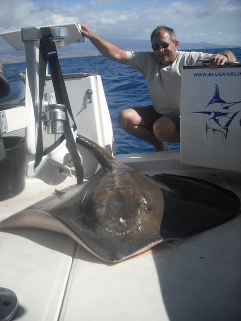 19/10 common stingray Cavalier & Blue Marlin Sport Fishing Gran Canaria