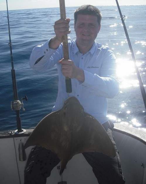 eagle ray Cavalier & Blue Marlin Sport Fishing Gran Canaria