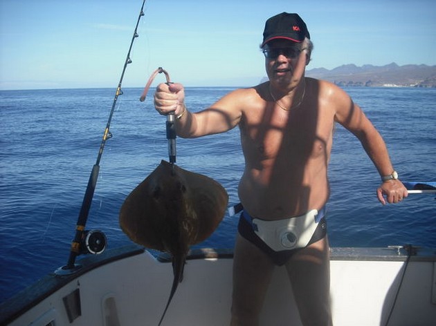 RIFVISSEN<br><br>Vandaag hadden we een ware plaag van kleine - Cavalier & Blue Marlin Sport Fishing Gran Canaria