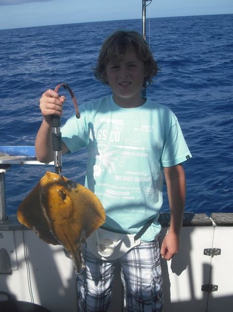 common stingray Cavalier & Blue Marlin Sport Fishing Gran Canaria