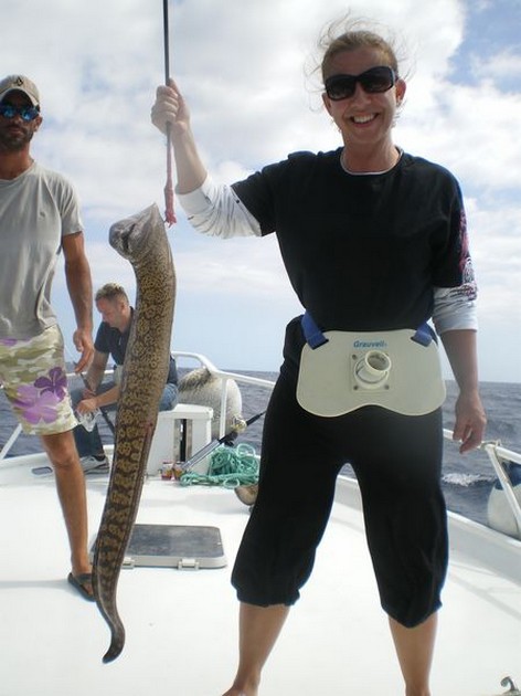 tiger moray Cavalier & Blue Marlin Sport Fishing Gran Canaria