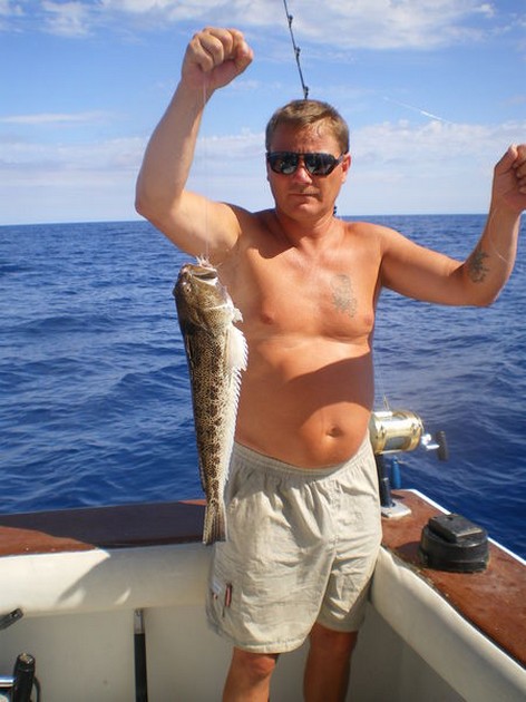 steaked weever Cavalier & Blue Marlin Sport Fishing Gran Canaria