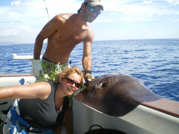common stingray Cavalier & Blue Marlin Sport Fishing Gran Canaria