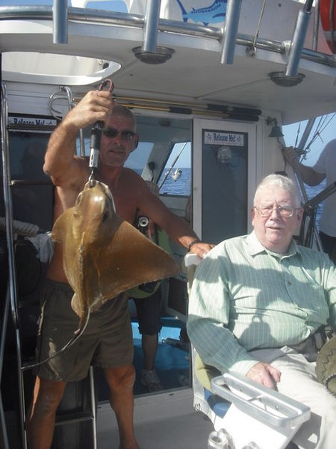 eagle ray Cavalier & Blue Marlin Sport Fishing Gran Canaria