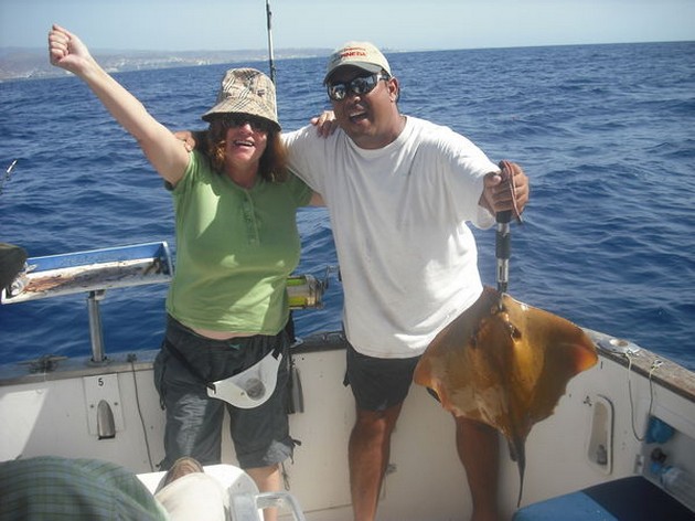 common stingray Cavalier & Blue Marlin Sport Fishing Gran Canaria