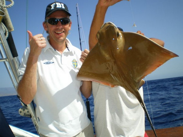eagle ray Cavalier & Blue Marlin Sport Fishing Gran Canaria