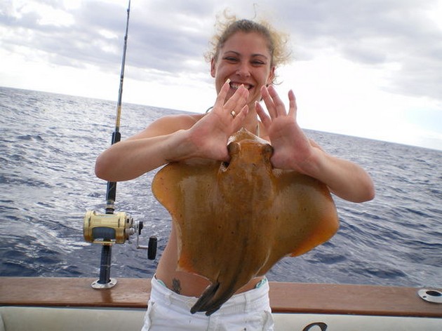 common stingray Cavalier & Blue Marlin Sport Fishing Gran Canaria