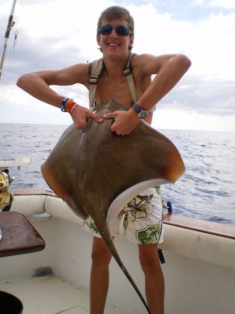 roughtail stingray Cavalier & Blue Marlin Sport Fishing Gran Canaria