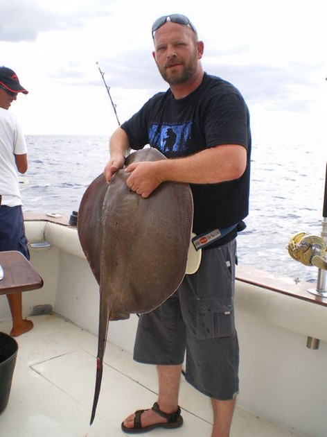 roughtail stingray Cavalier & Blue Marlin Sport Fishing Gran Canaria