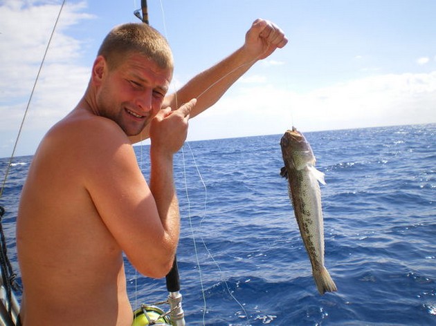 steaked weever Cavalier & Blue Marlin Sport Fishing Gran Canaria