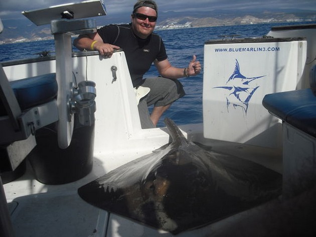 common stingray Cavalier & Blue Marlin Sport Fishing Gran Canaria