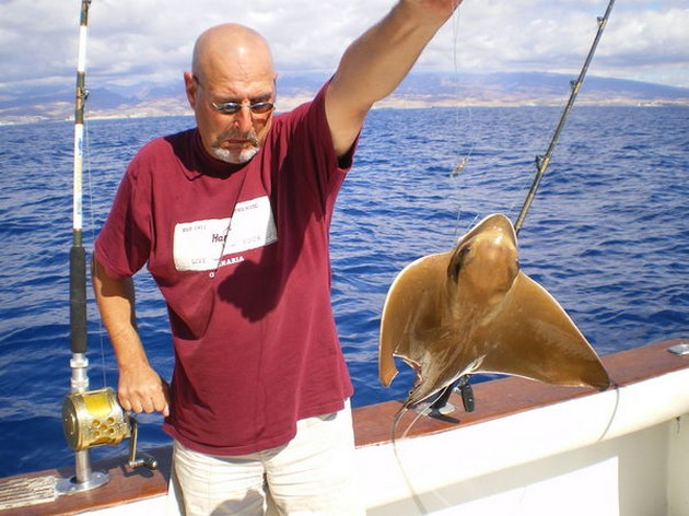 eagle ray Cavalier & Blue Marlin Sport Fishing Gran Canaria