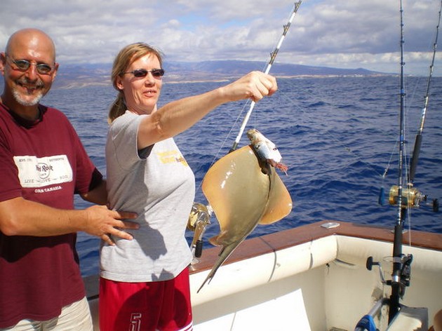 common stingray Cavalier & Blue Marlin Sport Fishing Gran Canaria
