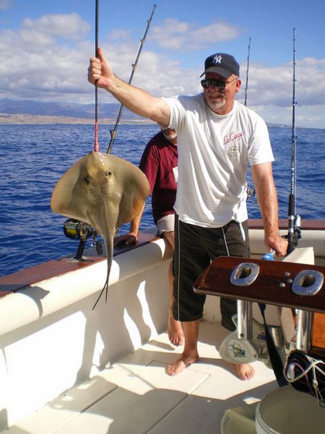 common stingray Cavalier & Blue Marlin Sport Fishing Gran Canaria